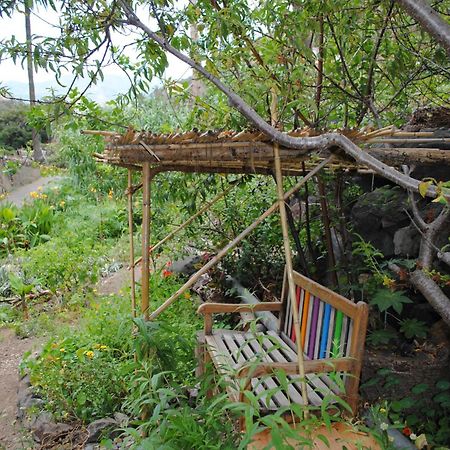 Hostal Casa Amaya Vallehermoso Εξωτερικό φωτογραφία