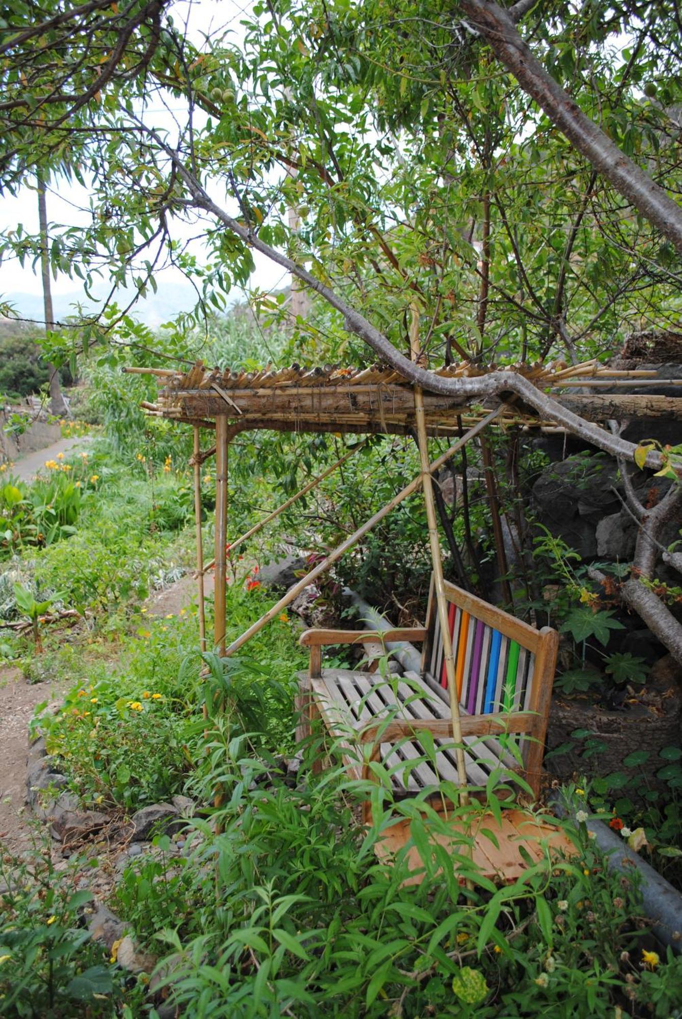 Hostal Casa Amaya Vallehermoso Εξωτερικό φωτογραφία