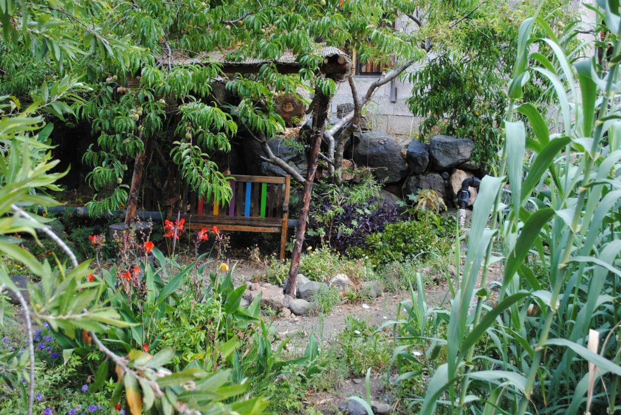 Hostal Casa Amaya Vallehermoso Εξωτερικό φωτογραφία